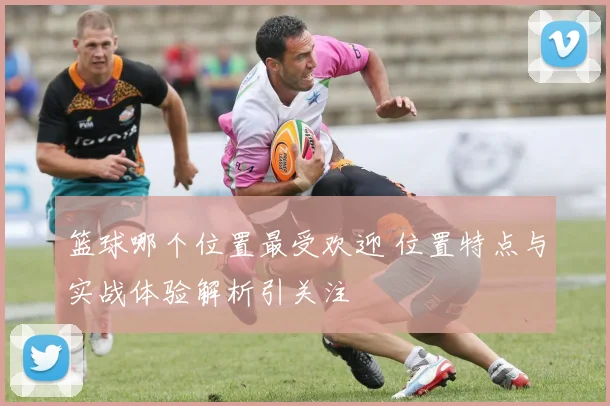 篮球哪个位置最受欢迎 位置特点与实战体验解析引关注