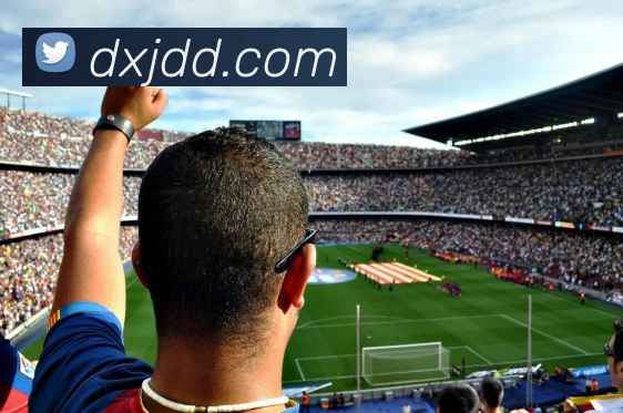 j9官网APP 封面图